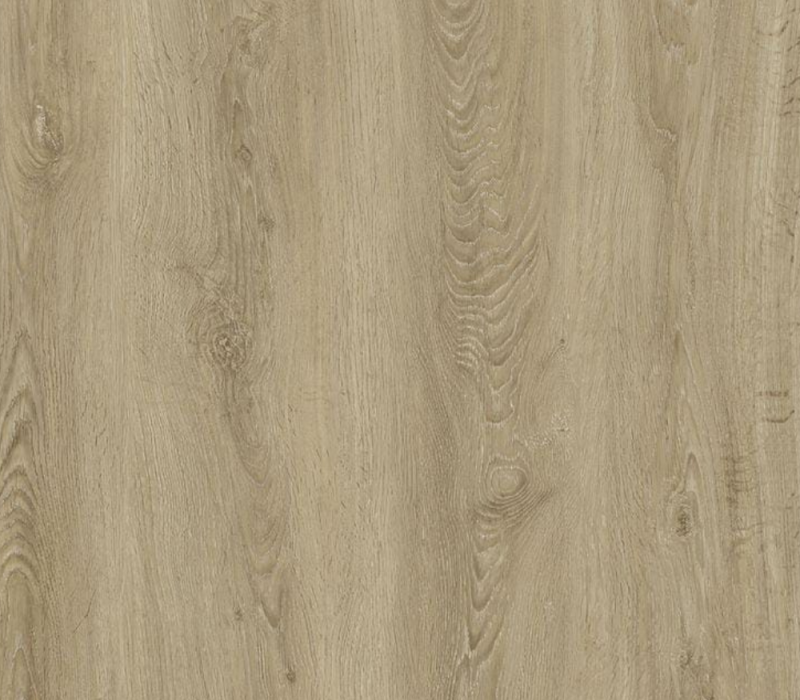 Textura Eucalipto